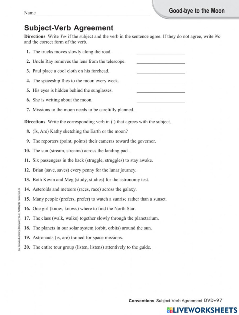 Subject verb Agreement Exercise For 6th