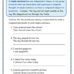 Worksheets For 3 Year Olds Printable Grade Science 4th Worksheets