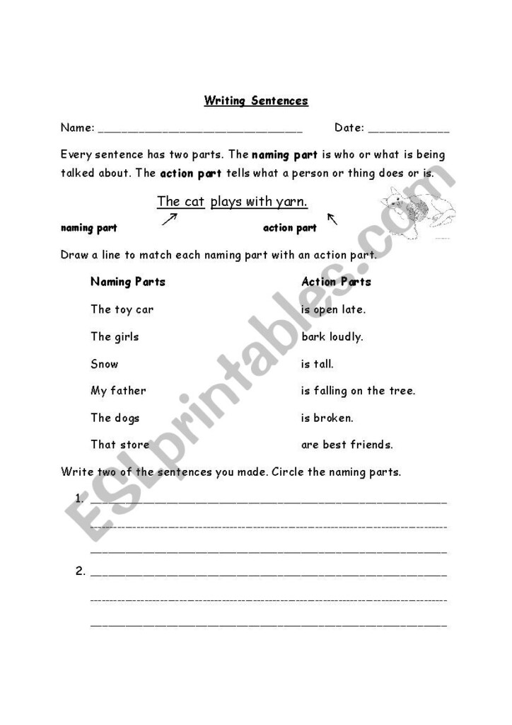 Writing Sentences ESL Worksheet By Williamsvanessa1979