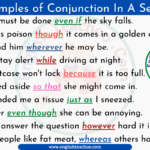 10 Examples Of Conjunction In A Sentence EnglishTeachoo