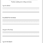 17 Simple Sentence Worksheets 6th Grade Free PDF At Worksheeto
