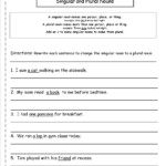 18 Singular Plural Worksheets Grade 3 Worksheeto