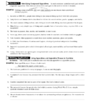 20 Identifying Appositives Worksheets Worksheeto