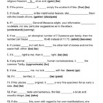 36 Printable Zero Conditional PDF Worksheets With Answers Grammarism