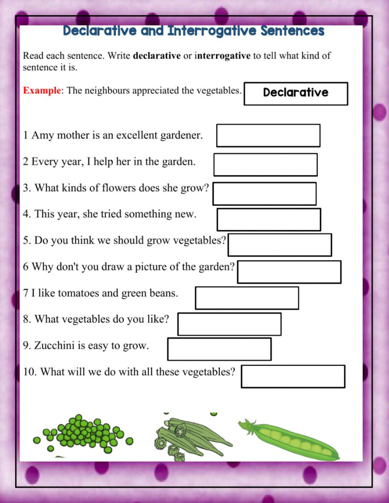 4th Grade Declarative And Interrogative Sentences Worksheet 