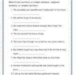 8th Grade Sentence Structure Worksheets Worksheets Master