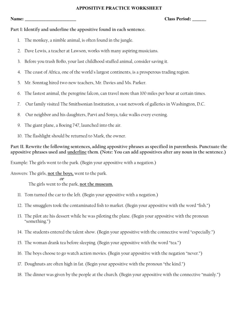 Appositive Sentence 7 Examples Format Sample Examples