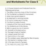 CBSE English Grammar Exercises And Worksheets For Class 5