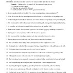 Clauses And Phrases With Leprechauns Worksheet Sentence Structure