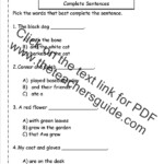 Complete Sentence Worksheet