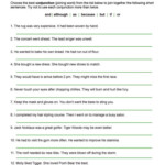 Compound Complex Sentence Worksheets
