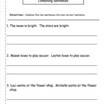 Concise Sentences Worksheet