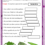 Declarative And Interrogative Sentences Worksheet 1st Grade