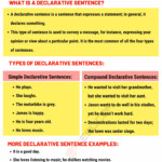 Declarative Sentence Definition Types And Useful Examples Efortless