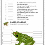 Frog Facts Worksheets Information For Kids