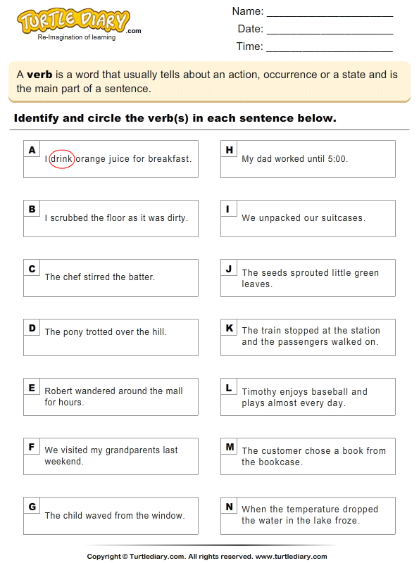 Identify The Verbs In A Sentence Turtle Diary Worksheet