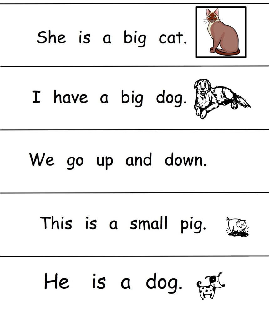 Kindergarten Sight Word Sentences Worksheets Printable Word Searches