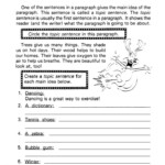 Main Idea And Topic Sentence Worksheets With Answers