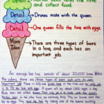 Main Idea And Topic Sentence Worksheets With Answers