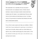 Paragraph Correction Worksheets