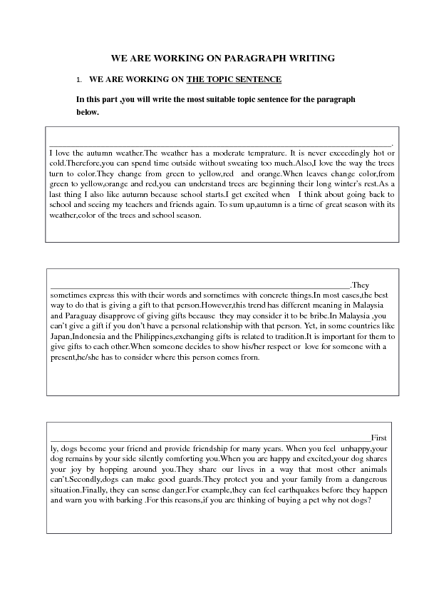 Paragraph Writing Exercise