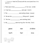 Plural Form Worksheet Grade 3