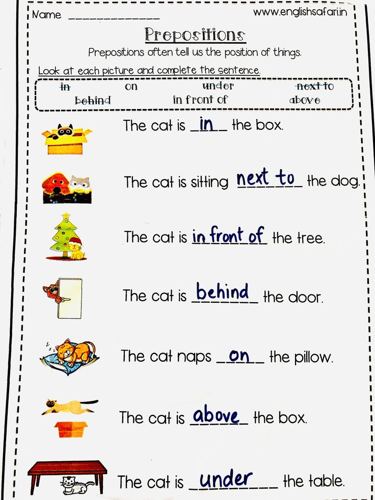 Prepositional Phrase Worksheet 4Th Grade