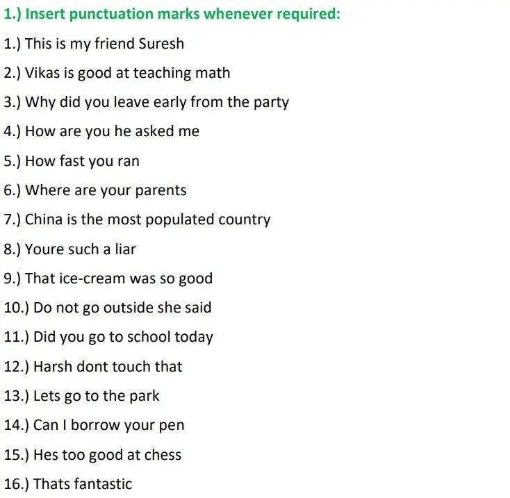 Punctuation Class 5 Worksheet With Answers Netexplainations