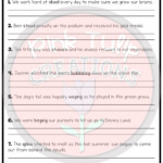 Sentence Correction Worksheets 3rd Grade