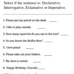 Sentence Structure Interactive And Downloadable Worksheet You Can Do