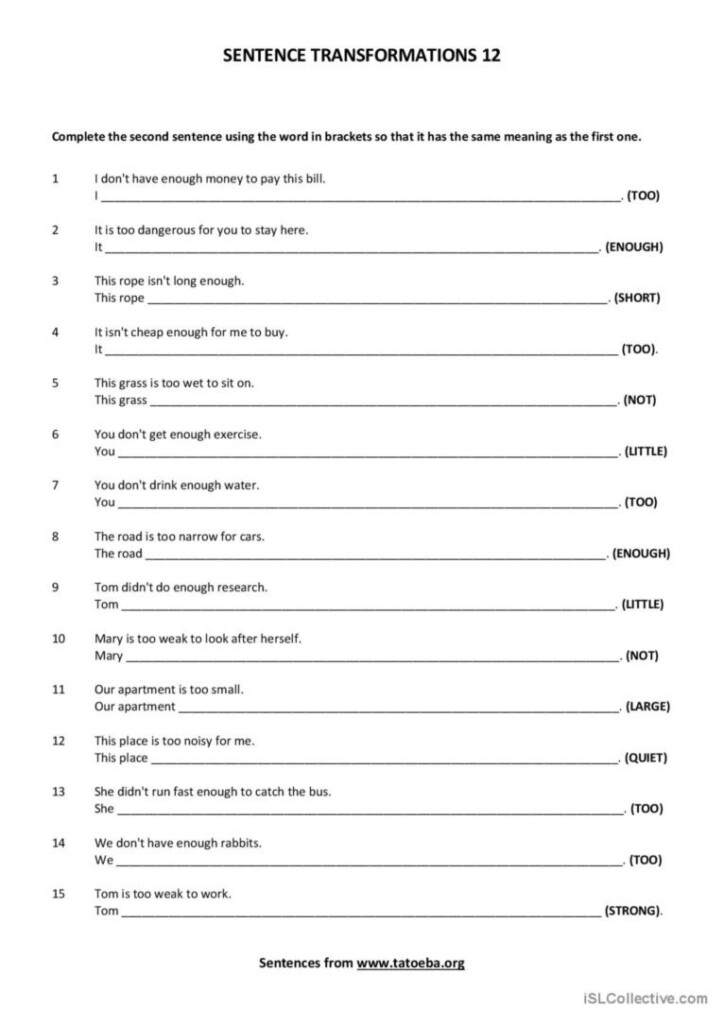 SENTENCE TRANSFORMATIONS 12 TOO An English ESL Worksheets Pdf Doc