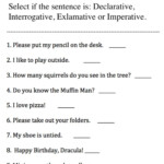 Sentences For Grade 3