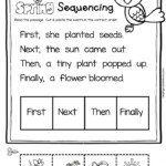 Sequence Activity 4th Grade