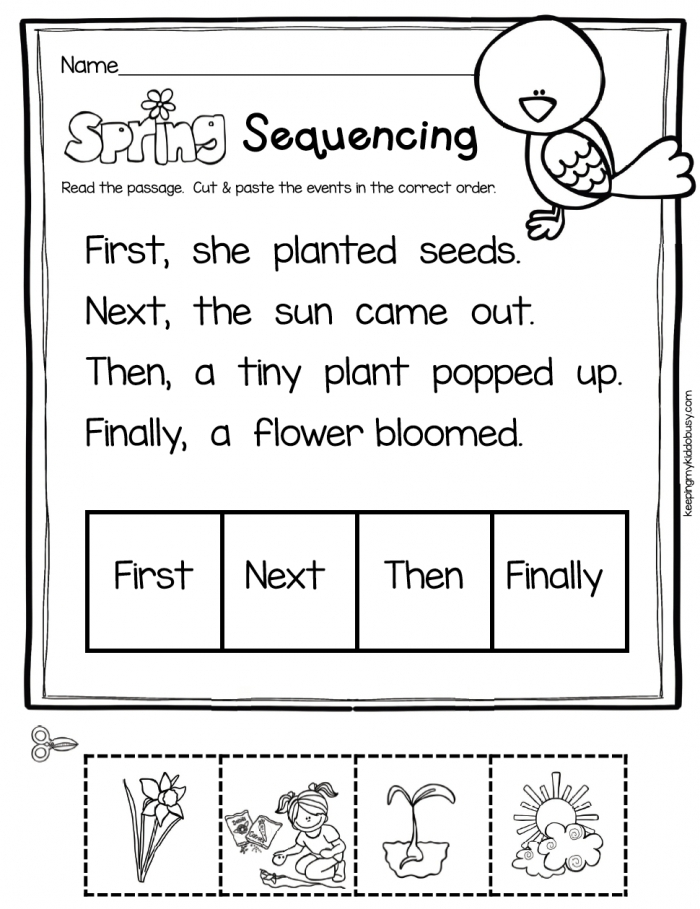 Sequence Activity 4th Grade