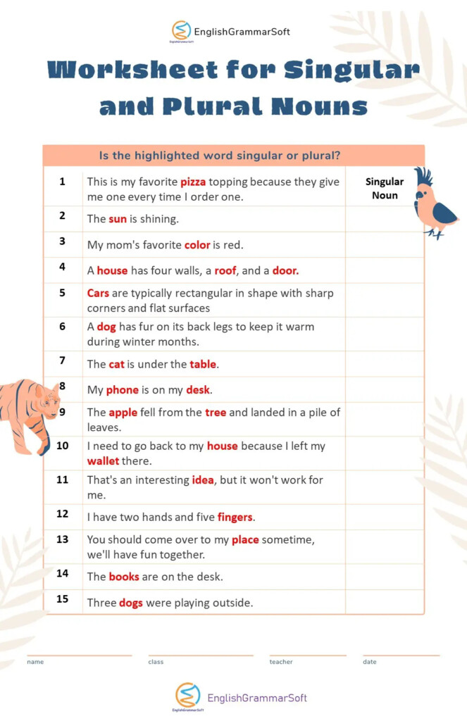 Singular And Plural Nouns 15 Rules 50 Examples Worksheet 