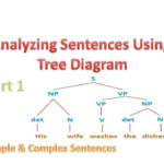 TREE DIAGRAM SIMPLE COMPLEX SENTENCES Part 1 YouTube