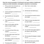 Types Of Sentences Worksheets Pdf