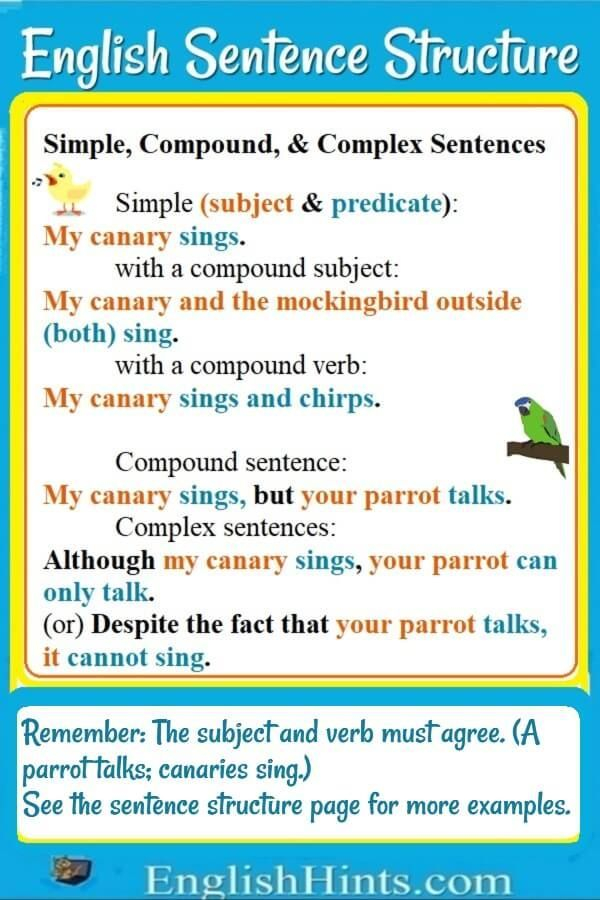 What Is Basic English Sentence Structure Learn How Sentences Are Made 