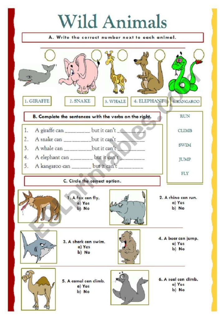 Wild Animals Sentences With Can And Can t verbs Fly Run Climb 